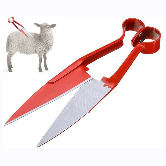 Sheep Scissors